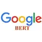 Google Bert